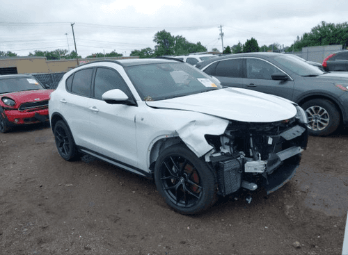 Zdjęcie główne ogłoszenia ALFA ROMEO STELVIO TI AWD